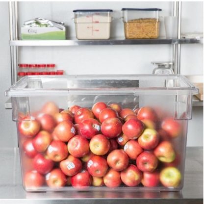 Clear Food Container with apples