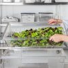 Clear Food Container 18x26x5" Perf with lettuce
