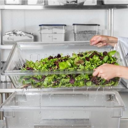 Clear Food Container 18x26x5" Perf with lettuce